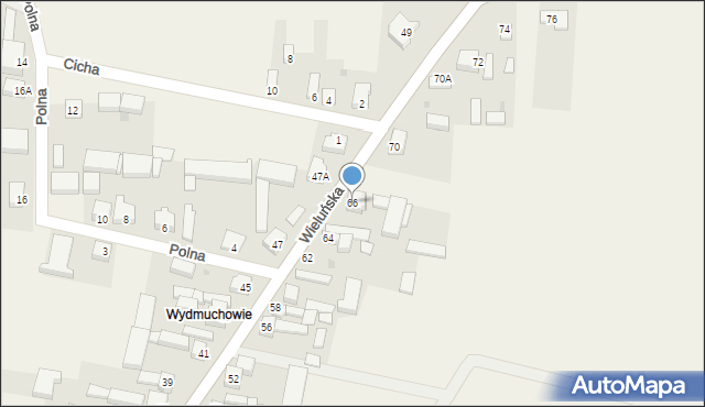 Kurów, Wieluńska, 66, mapa Kurów