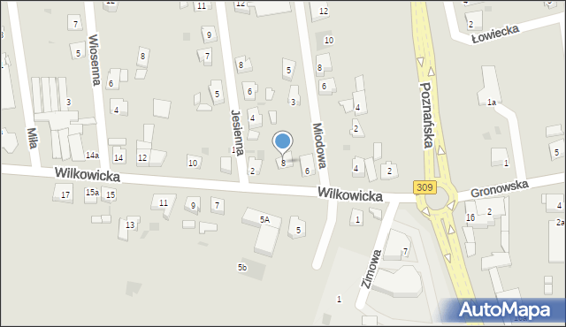 Leszno, Wilkowicka, 8, mapa Leszno