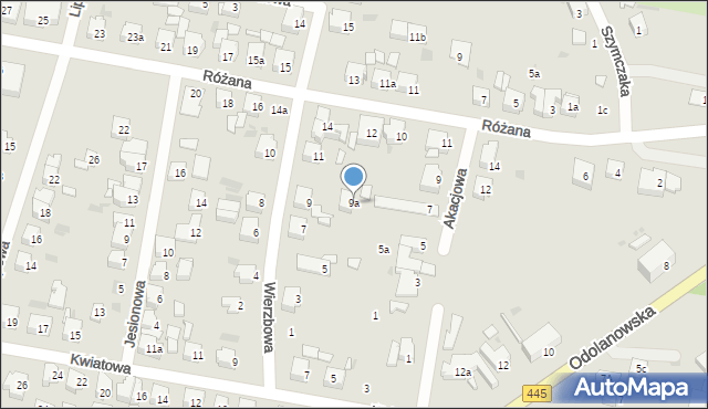 Ostrów Wielkopolski, Wierzbowa, 9a, mapa Ostrów Wielkopolski