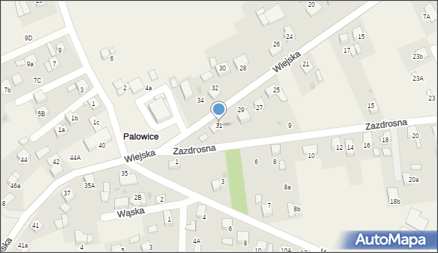 Palowice, Wiejska, 31, mapa Palowice