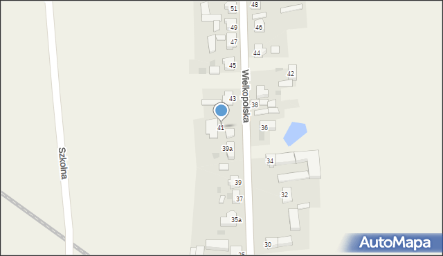 Pawłowice, Wielkopolska, 41, mapa Pawłowice