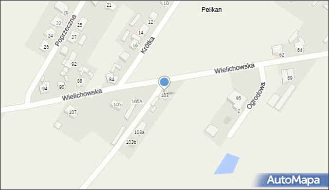 Pelikan, Wielichowska, 103, mapa Pelikan