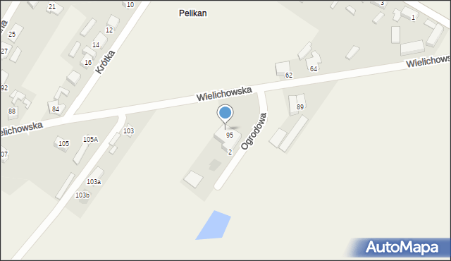 Pelikan, Wielichowska, 95A, mapa Pelikan