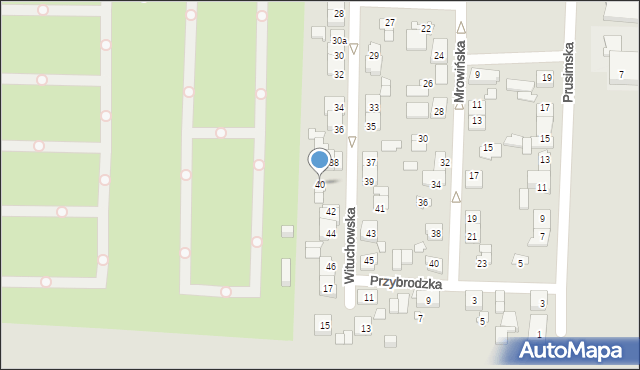 Poznań, Wituchowska, 40, mapa Poznania