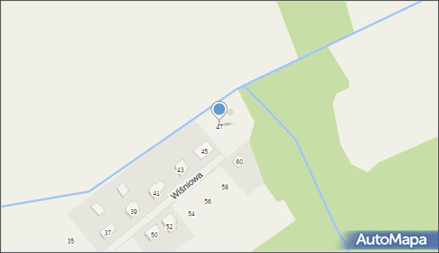 Radzewice, Wiśniowa, 47, mapa Radzewice