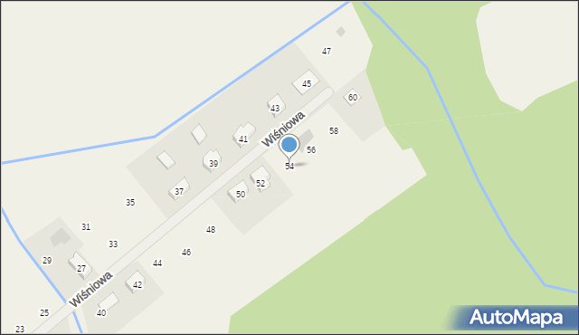 Radzewice, Wiśniowa, 54, mapa Radzewice