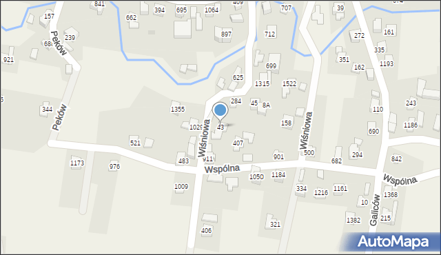 Radziechowy, Wiśniowa, 43, mapa Radziechowy