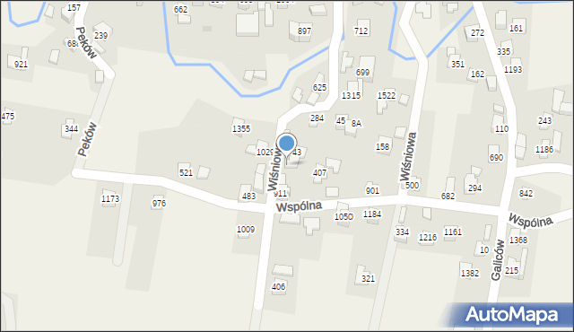 Radziechowy, Wiśniowa, 43a, mapa Radziechowy