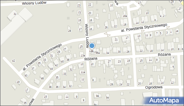 Szamotuły, Wiosny Ludów, 10A/2, mapa Szamotuły