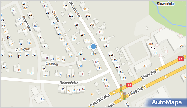 Szczecin, Wierzbowa, 125, mapa Szczecina