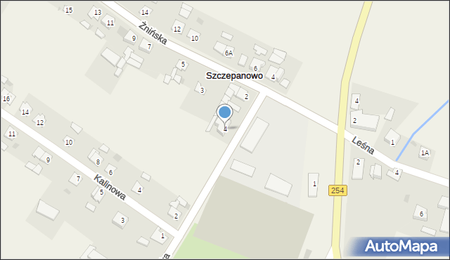 Szczepanowo, Wiktorowska, 4, mapa Szczepanowo