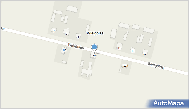 Wielgolas, Wielgolas, 10, mapa Wielgolas