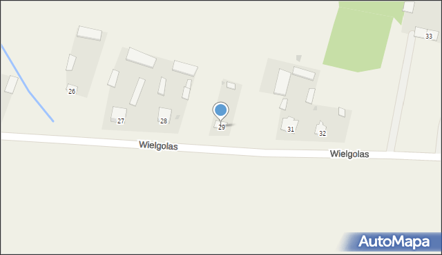 Wielgolas, Wielgolas, 29, mapa Wielgolas