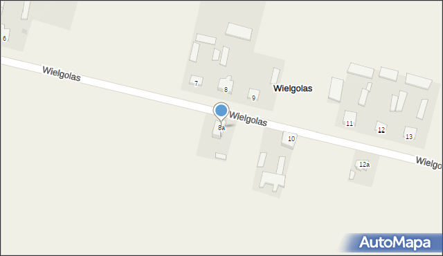 Wielgolas, Wielgolas, 8a, mapa Wielgolas