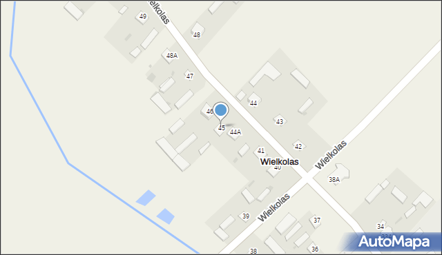 Wielkolas, Wielkolas, 45, mapa Wielkolas