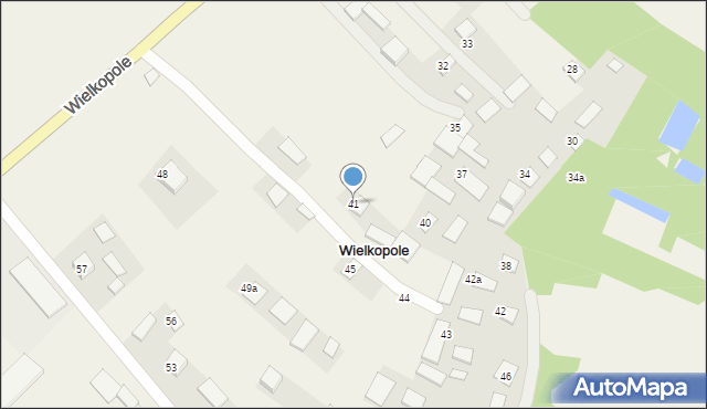 Wielkopole, Wielkopole, 41, mapa Wielkopole