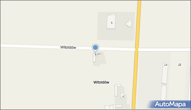 Witoldów, Witoldów, 5, mapa Witoldów