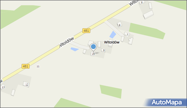 Witoldów, Witoldów, 10, mapa Witoldów