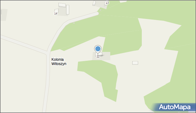 Witoszyn, Witoszyn, 12, mapa Witoszyn