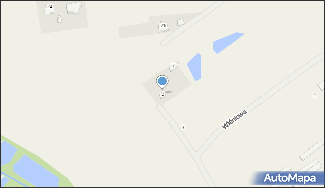 Witunia, Wiśniowa, 5, mapa Witunia