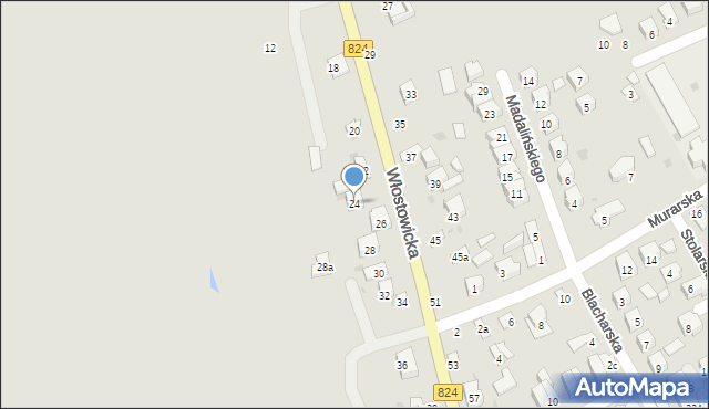 Puławy, Włostowicka, 24, mapa Puław