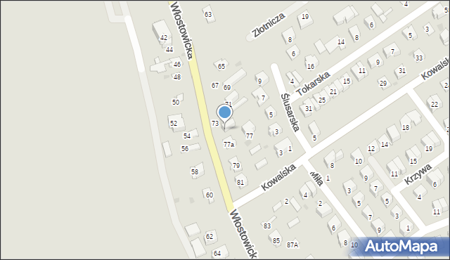 Puławy, Włostowicka, 75, mapa Puław