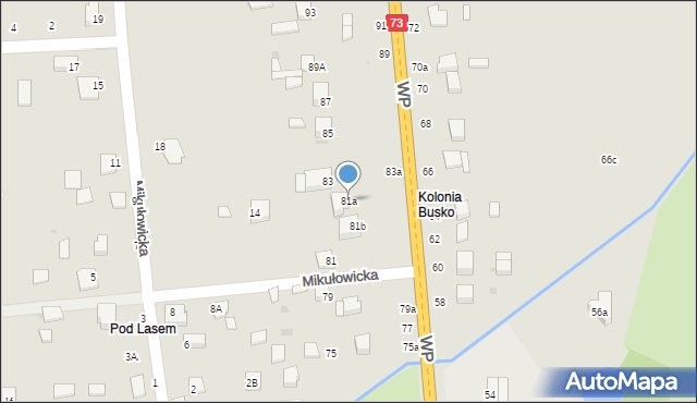 Busko-Zdrój, Wojska Polskiego, 81a, mapa Busko-Zdrój