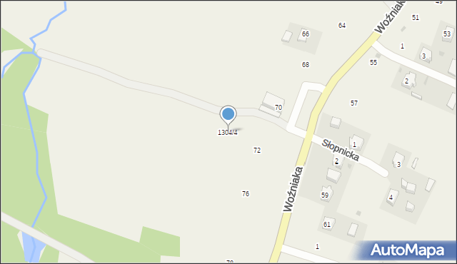 Czaszyn, Woźniaka Romana, ks., 1304/4, mapa Czaszyn