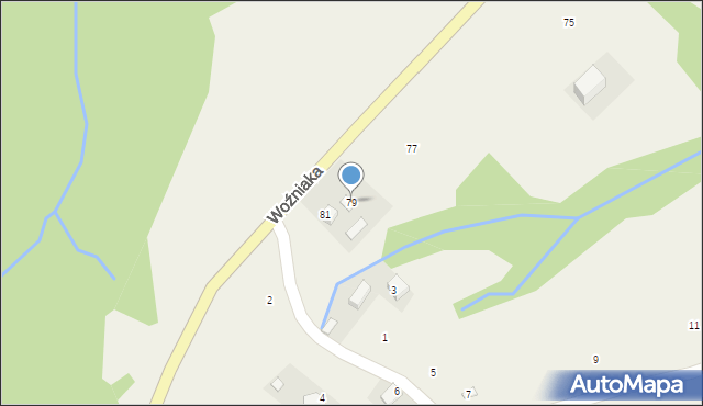 Czaszyn, Woźniaka Romana, ks., 79, mapa Czaszyn