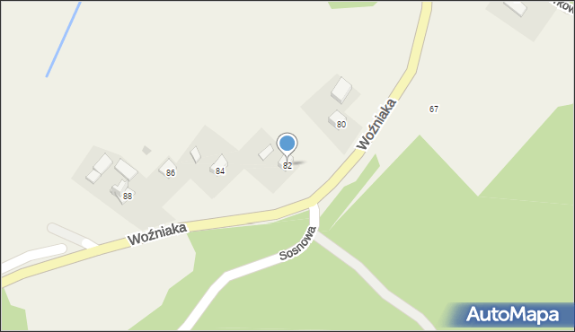 Czaszyn, Woźniaka Romana, ks., 82, mapa Czaszyn