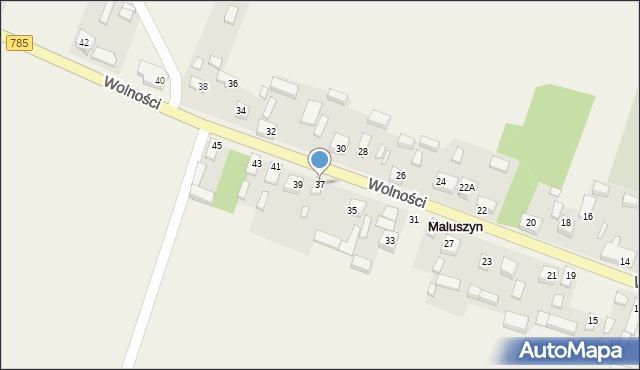 Maluszyn, Wolności, 37, mapa Maluszyn