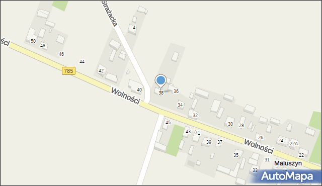 Maluszyn, Wolności, 38, mapa Maluszyn