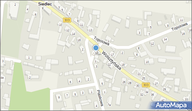 Siedlec, Wolsztyńska, 20, mapa Siedlec