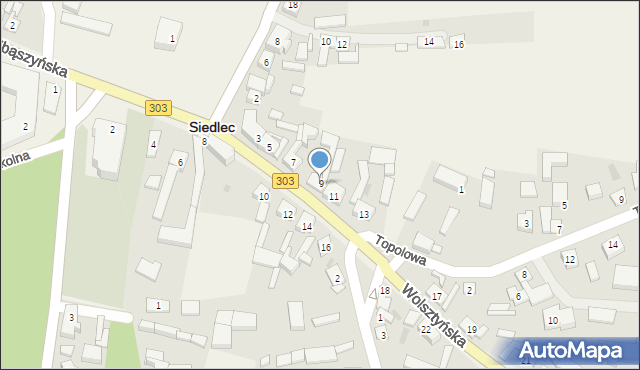 Siedlec, Wolsztyńska, 9, mapa Siedlec