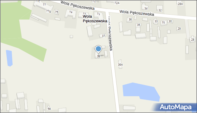 Wola Pękoszewska, Wola Pękoszewska, 38, mapa Wola Pękoszewska