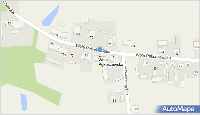 Wola Pękoszewska, Wola Pękoszewska, 73, mapa Wola Pękoszewska