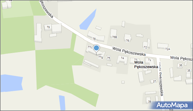 Wola Pękoszewska, Wola Pękoszewska, 77f, mapa Wola Pękoszewska