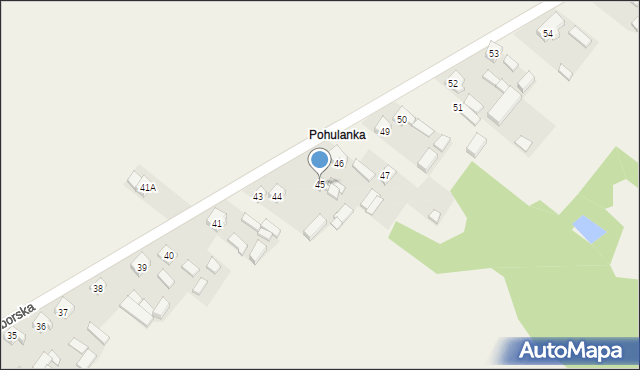 Wola Przedborska, Wola Przedborska, 45, mapa Wola Przedborska