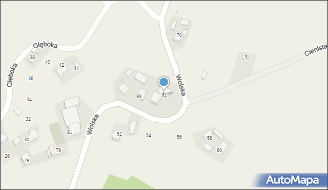 Wola Więcławska, Wolska, 91, mapa Wola Więcławska