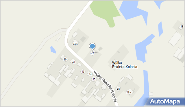 Wólka Rokicka-Kolonia, Wólka Rokicka-Kolonia, 42, mapa Wólka Rokicka-Kolonia