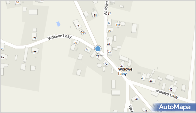 Wołowe Lasy, Wołowe Lasy, 73, mapa Wołowe Lasy