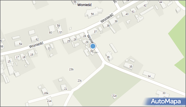 Wonieść, Wonieść, 31, mapa Wonieść