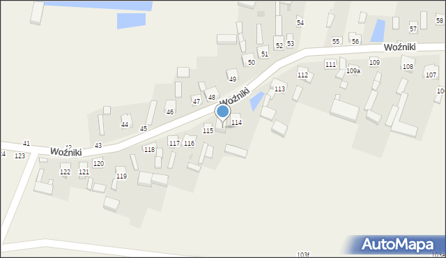 Woźniki, Woźniki, 114a, mapa Woźniki