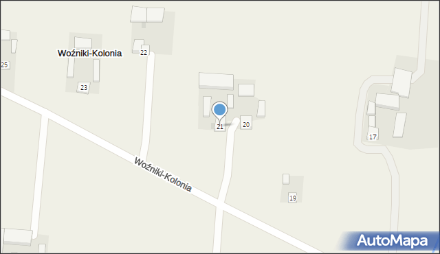 Woźniki-Kolonia, Woźniki-Kolonia, 21, mapa Woźniki-Kolonia