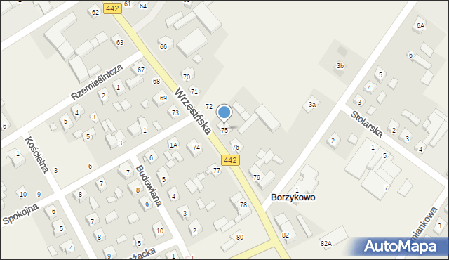 Borzykowo, Wrzesińska, 75, mapa Borzykowo