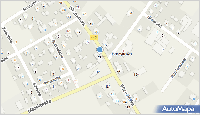 Borzykowo, Wrzesińska, 78, mapa Borzykowo