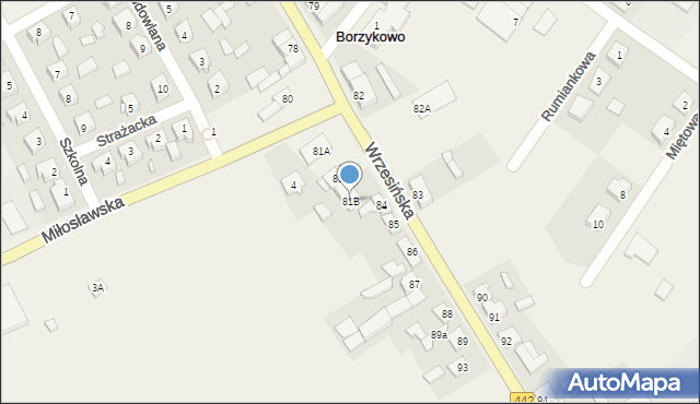 Borzykowo, Wrzesińska, 81B, mapa Borzykowo