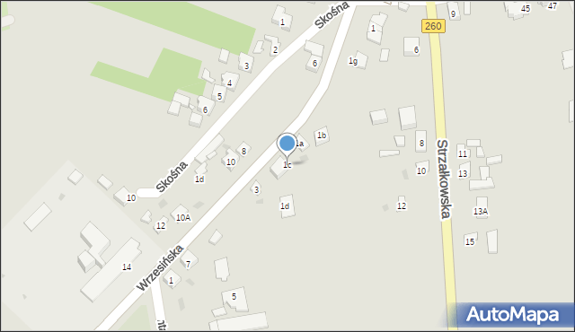 Witkowo, Wrzesińska, 1c, mapa Witkowo