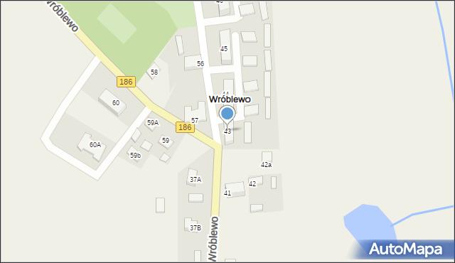 Wróblewo, Wróblewo, 43, mapa Wróblewo