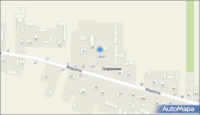 Grębiszew, Wspólna, 43, mapa Grębiszew